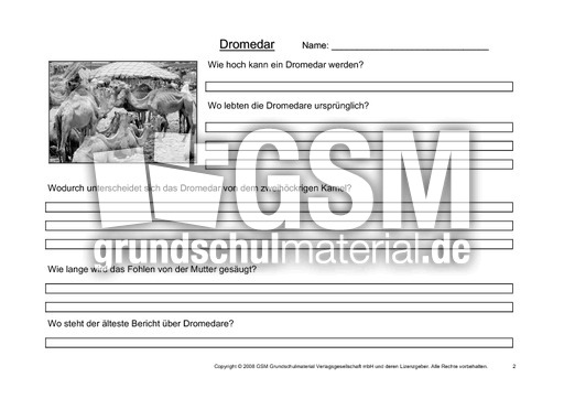 Dromedar-Fragen-2.pdf